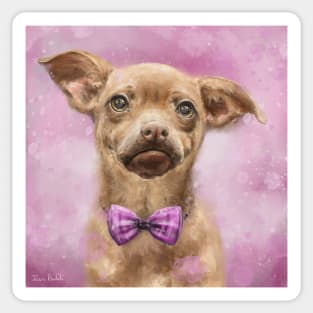 Painting of Cute Brown and Chihuahua With a Bowtie on Pink Background Sticker